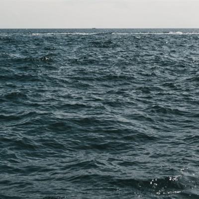 海底进化世界游戏下载