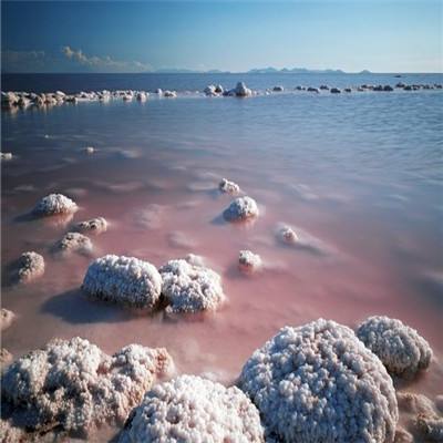 太阁立志2公测版下载